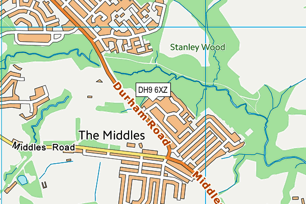 DH9 6XZ map - OS VectorMap District (Ordnance Survey)