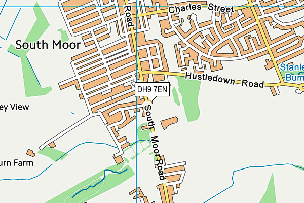 DH9 7EN map - OS VectorMap District (Ordnance Survey)