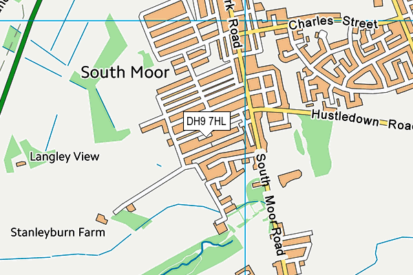 DH9 7HL map - OS VectorMap District (Ordnance Survey)