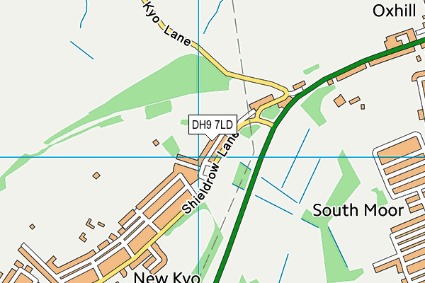 DH9 7LD map - OS VectorMap District (Ordnance Survey)