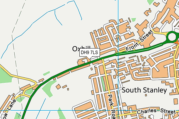DH9 7LS map - OS VectorMap District (Ordnance Survey)