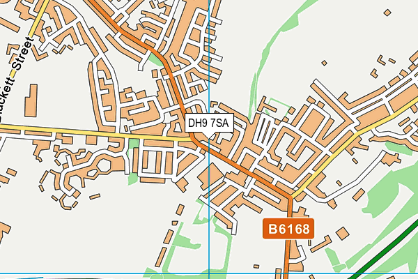 DH9 7SA map - OS VectorMap District (Ordnance Survey)