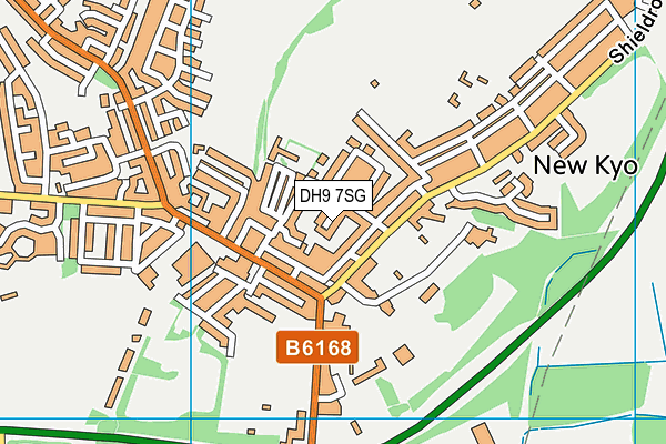 DH9 7SG map - OS VectorMap District (Ordnance Survey)