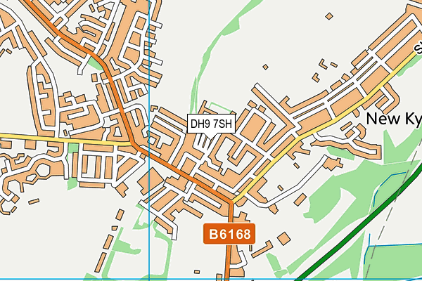 DH9 7SH map - OS VectorMap District (Ordnance Survey)