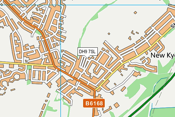 DH9 7SL map - OS VectorMap District (Ordnance Survey)