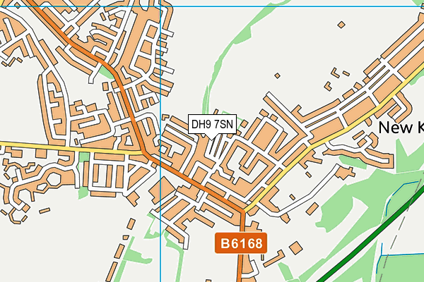 DH9 7SN map - OS VectorMap District (Ordnance Survey)