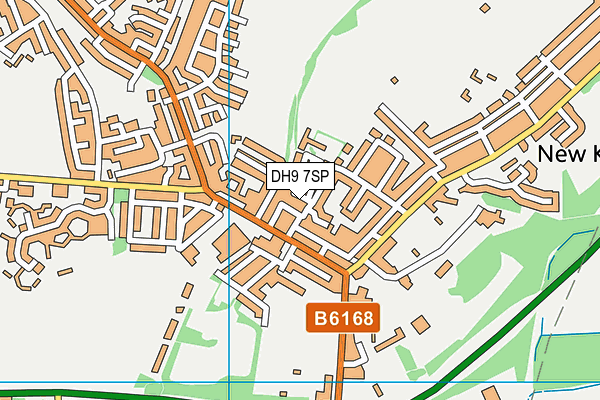 DH9 7SP map - OS VectorMap District (Ordnance Survey)