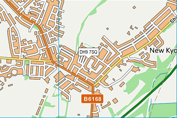 DH9 7SQ map - OS VectorMap District (Ordnance Survey)