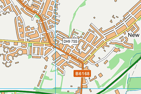 DH9 7SS map - OS VectorMap District (Ordnance Survey)