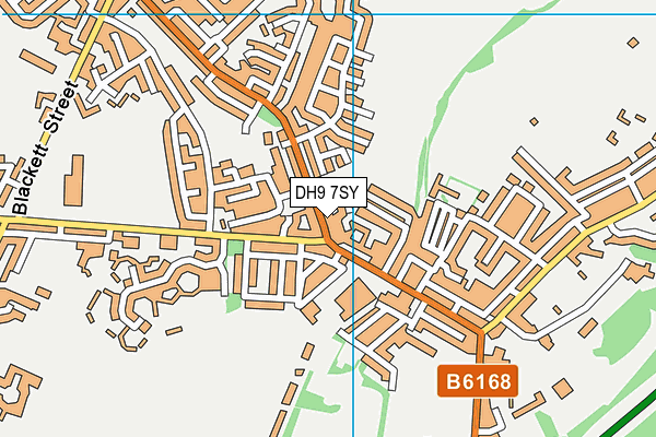 DH9 7SY map - OS VectorMap District (Ordnance Survey)