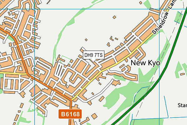 DH9 7TS map - OS VectorMap District (Ordnance Survey)