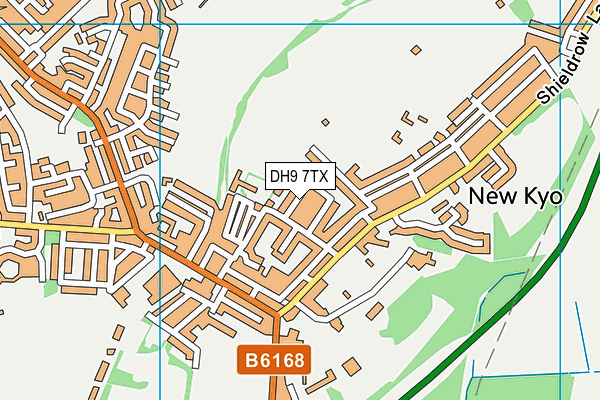 DH9 7TX map - OS VectorMap District (Ordnance Survey)