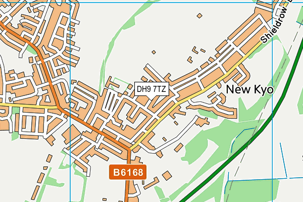 DH9 7TZ map - OS VectorMap District (Ordnance Survey)