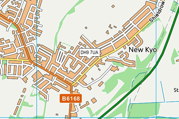 DH9 7UA map - OS VectorMap District (Ordnance Survey)