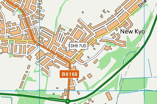 DH9 7UD map - OS VectorMap District (Ordnance Survey)
