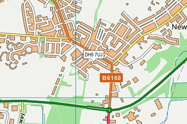 DH9 7UJ map - OS VectorMap District (Ordnance Survey)