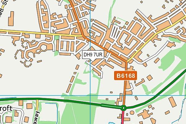 DH9 7UR map - OS VectorMap District (Ordnance Survey)