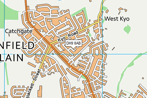 DH9 8AB map - OS VectorMap District (Ordnance Survey)