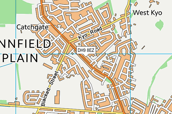 DH9 8EZ map - OS VectorMap District (Ordnance Survey)