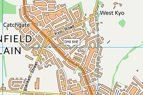 DH9 8HE map - OS VectorMap District (Ordnance Survey)