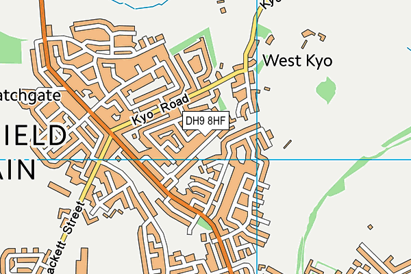 DH9 8HF map - OS VectorMap District (Ordnance Survey)