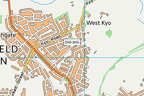 DH9 8HG map - OS VectorMap District (Ordnance Survey)
