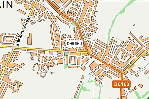 DH9 8HU map - OS VectorMap District (Ordnance Survey)