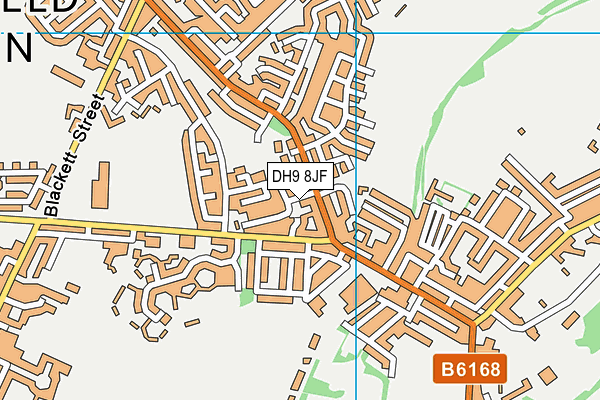 DH9 8JF map - OS VectorMap District (Ordnance Survey)
