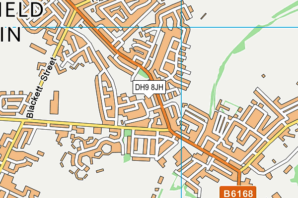DH9 8JH map - OS VectorMap District (Ordnance Survey)