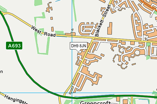 DH9 8JN map - OS VectorMap District (Ordnance Survey)