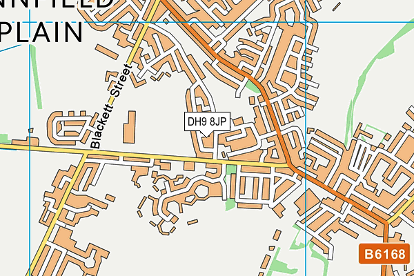 DH9 8JP map - OS VectorMap District (Ordnance Survey)