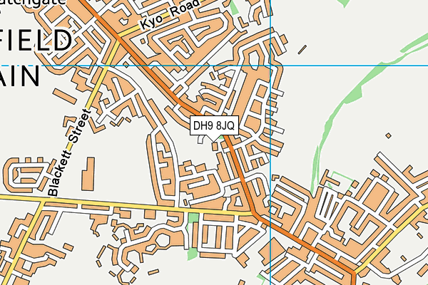 DH9 8JQ map - OS VectorMap District (Ordnance Survey)