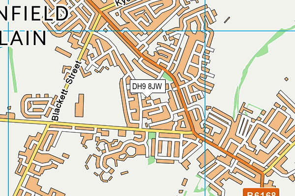 DH9 8JW map - OS VectorMap District (Ordnance Survey)