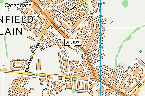 DH9 8JX map - OS VectorMap District (Ordnance Survey)