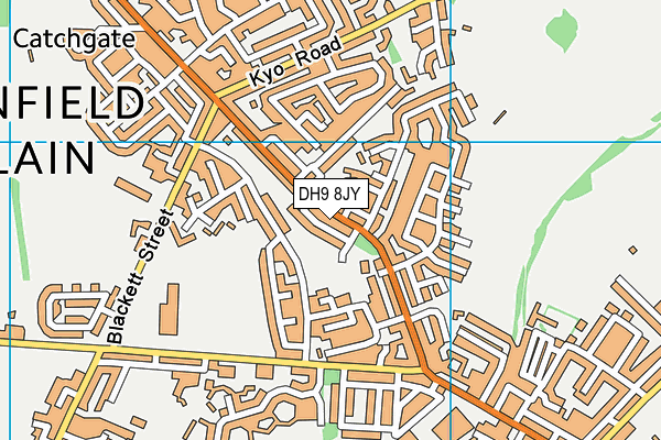 DH9 8JY map - OS VectorMap District (Ordnance Survey)
