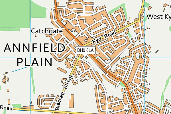 DH9 8LA map - OS VectorMap District (Ordnance Survey)