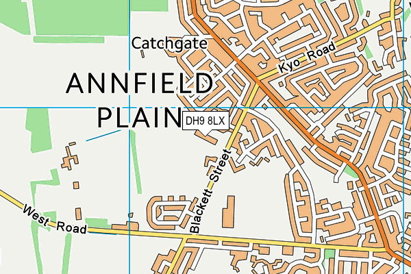 Catchgate Primary School map (DH9 8LX) - OS VectorMap District (Ordnance Survey)