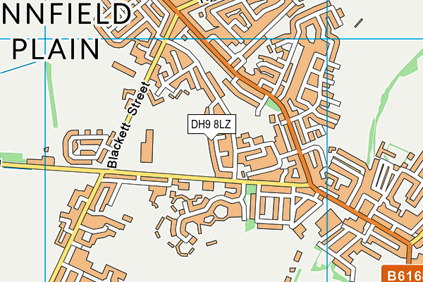 DH9 8LZ map - OS VectorMap District (Ordnance Survey)