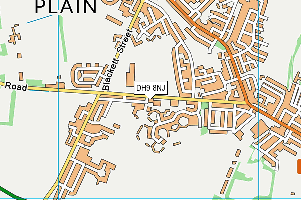DH9 8NJ map - OS VectorMap District (Ordnance Survey)