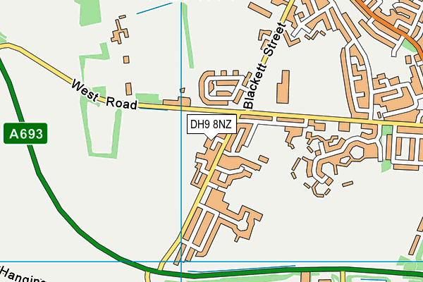 DH9 8NZ map - OS VectorMap District (Ordnance Survey)
