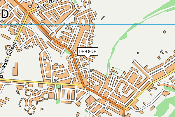 DH9 8QF map - OS VectorMap District (Ordnance Survey)