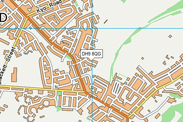 DH9 8QG map - OS VectorMap District (Ordnance Survey)