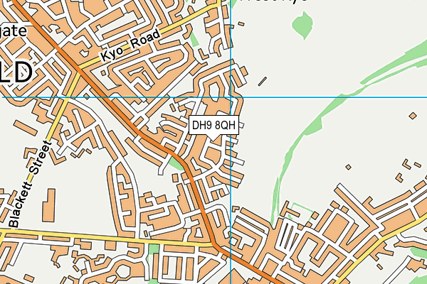 DH9 8QH map - OS VectorMap District (Ordnance Survey)