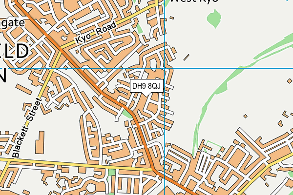 DH9 8QJ map - OS VectorMap District (Ordnance Survey)