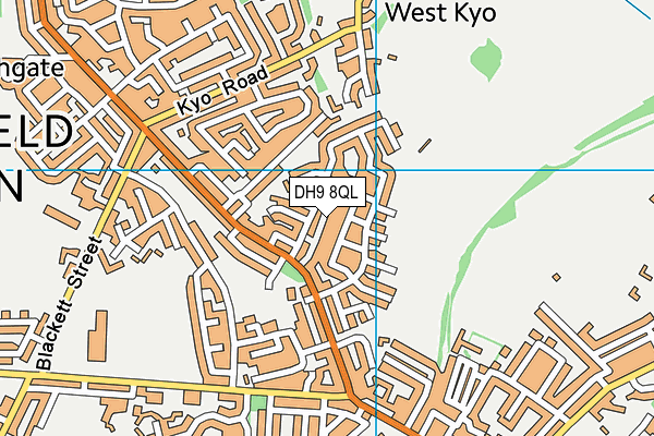 DH9 8QL map - OS VectorMap District (Ordnance Survey)