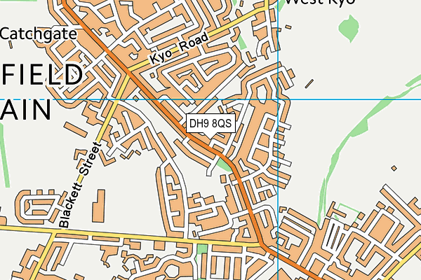 DH9 8QS map - OS VectorMap District (Ordnance Survey)