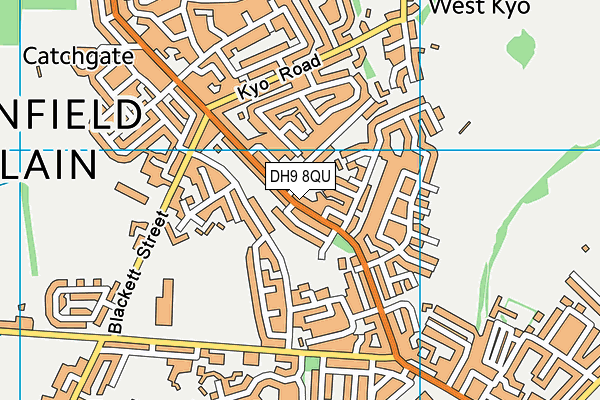 DH9 8QU map - OS VectorMap District (Ordnance Survey)