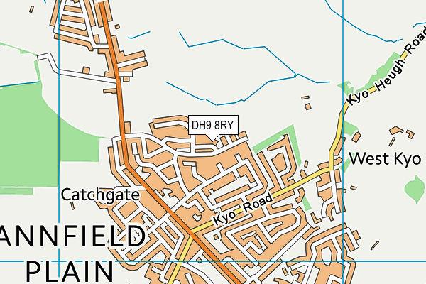 DH9 8RY map - OS VectorMap District (Ordnance Survey)