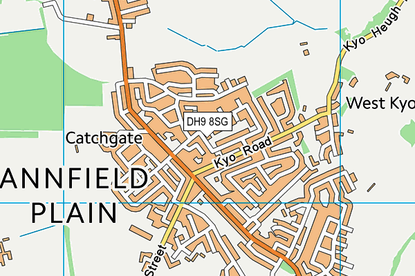 DH9 8SG map - OS VectorMap District (Ordnance Survey)