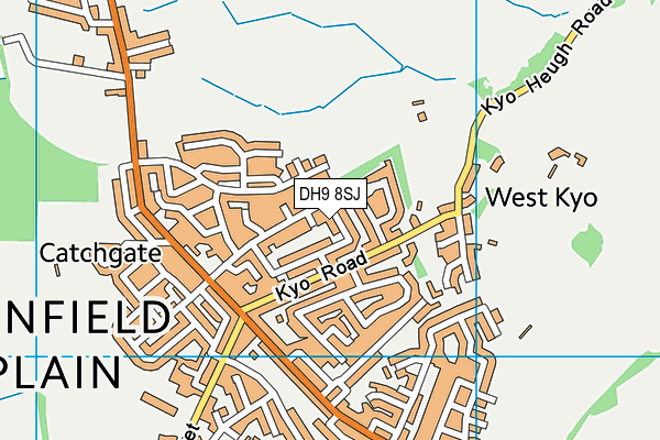 DH9 8SJ map - OS VectorMap District (Ordnance Survey)
